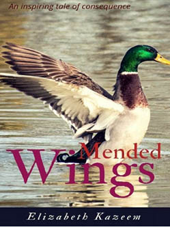 Mended Wings