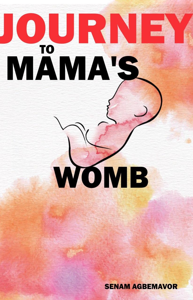 Journey to Mamas Womb